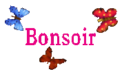 bonsoir 1